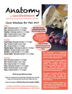 thumbnail of anatomy-fall-2017