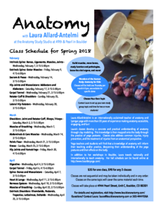 thumbnail of anatomy-feb-april-2018
